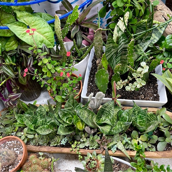 Meet your Posher, Tonya - Picture 11 of 11